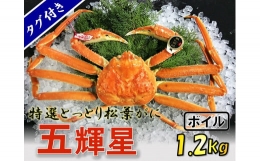 1140　五輝星ボイル松葉ガニ（特々大1.2kg）数量限定品