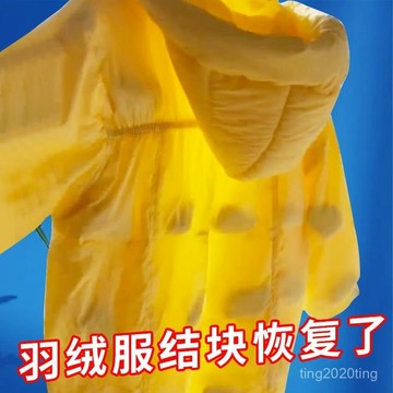 臺灣出貨🚚羽絨服幹癟蓬鬆恢複劑修複髮硬結塊起坨專用洗衣液羽絨服護理神器 T6XN