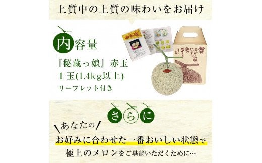 a5-130 ＜R5年11月下旬～12月末頃発送予定＞数量限定！食べるタイミングがわかるメロン「秘蔵っ娘」赤玉(赤肉)1個