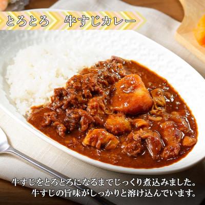 ふるさと納税 倶知安町 倶知安野菜のとろける牛すじカレー 中辛 200g×3個