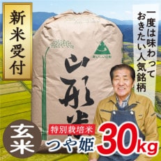 令和5年産山形県産特別栽培米 つや姫30kg