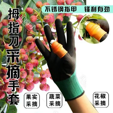 🔥高雄有貨🔥摘菜神器指甲掐菜掐芽子掐花椒園藝手套摘花椒手套剪月季剪仙人掌