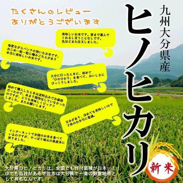 ヒノヒカリ 玄米 30kg 令和5年産 [九州 大分県産 ひのひかり 30kg 米 お米 うるち米]