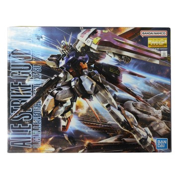 BANDAI 翔翼攻擊鋼彈 模型 1/100 MG 166 RM.ver B5061590  1組