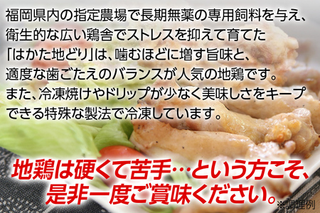 福岡県産地鶏「はかた地どり」むね肉(約1kg)