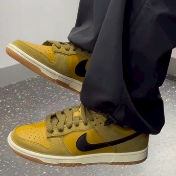 S.G Nike Dunk Low Retro SE  IB6399-300 男 橄欖綠色  麂皮 低筒 復古 休閒鞋