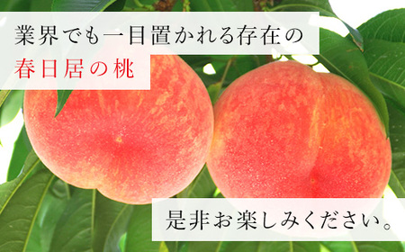 ＜2024年先行予約＞≪山梨直送≫山梨産「春日居の桃」特秀品・中玉3玉×2箱 合計1.5kg 203-002