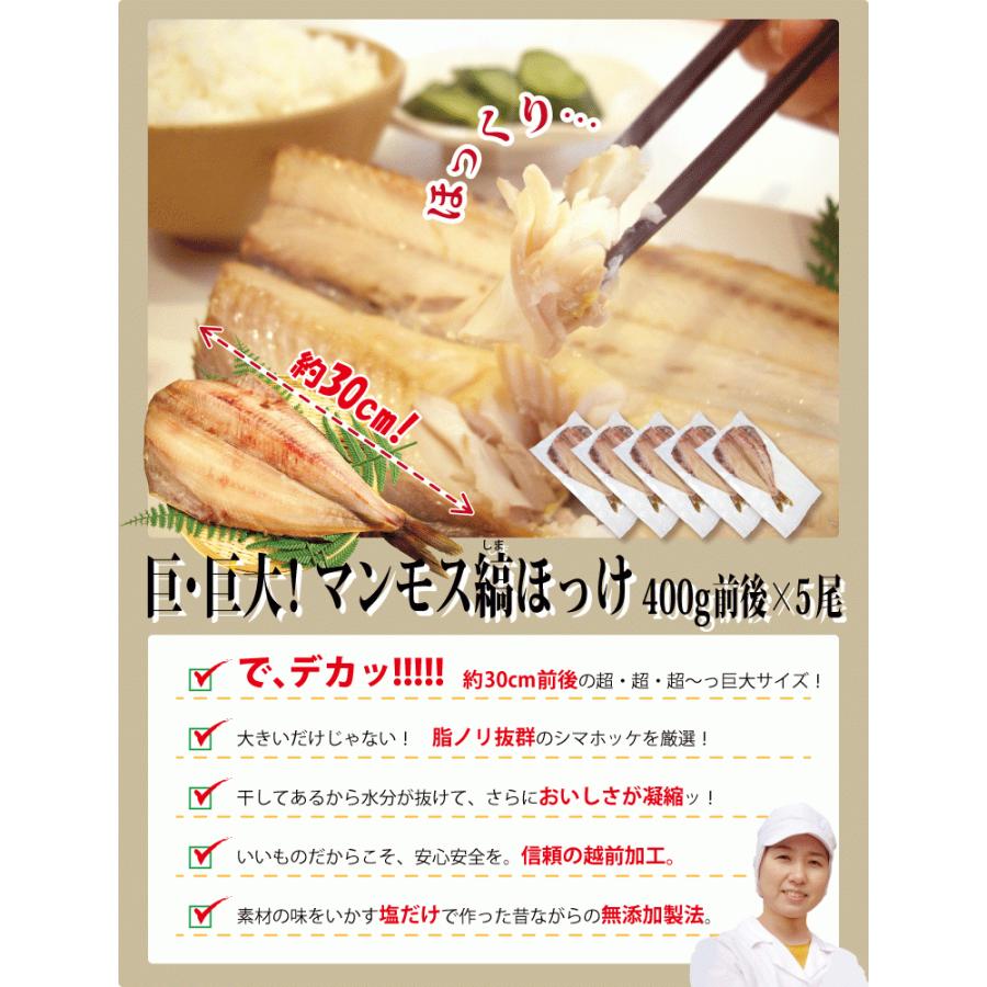 縞ホッケ 干物 ほっけ 特大 約400g×5尾 しまほっけ ホッケ ホッケ干物 シマホッケ 干物セット 真空パック 一夜干し 一夜干し魚 一夜干しセット ((冷凍))