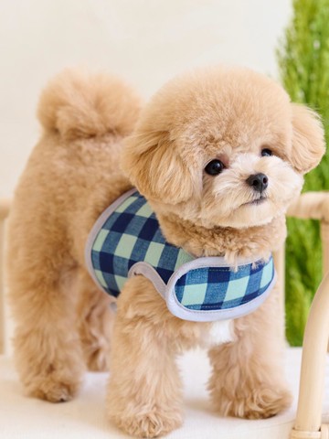 Ice Summer Rayon Cool Harness [GREEN]