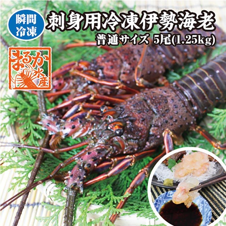 送料無料　刺身用冷凍伊勢海老　普通サイズ　1.25kｇ　5尾入　[伊勢海老]　（活〆冷凍）