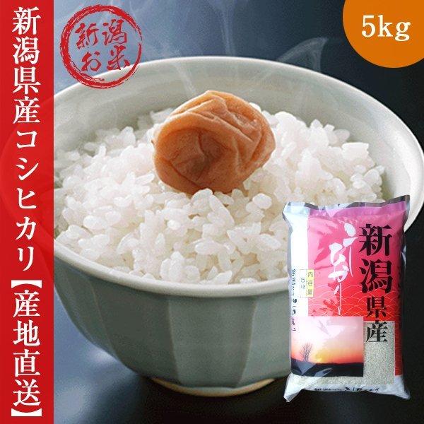 新潟産コシヒカリ 米 5kg 送料無料 新潟県産 お米 令和5年産 精米 白米