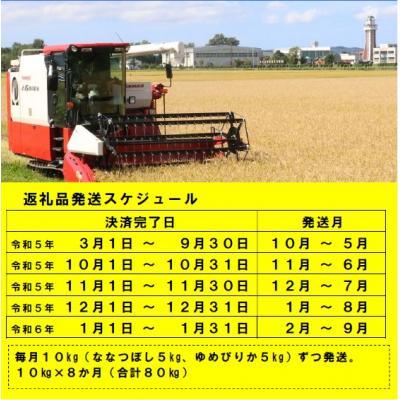 ふるさと納税 秩父別町 令和5年産 ななつぼしゆめぴりか定期便80kg(毎月発送)