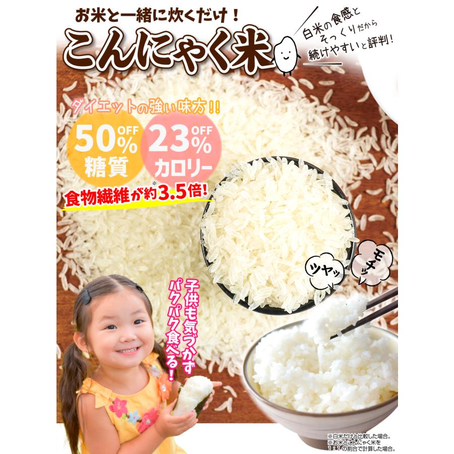 こんにゃく米 600g (60g×10袋) 蒟蒻 米 食品 送料無料 ポスト投函