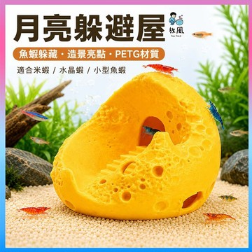 放風水族【月亮躲避屋】 魚缸造景 水族造景 蝦屋 魚蝦躲避屋 異形魚躲藏 觀賞蝦 米蝦 水晶蝦 鬥魚 孔雀魚 繁殖躲藏屋