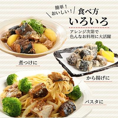 ふるさと納税 松浦市 さば水煮缶セット(24缶)