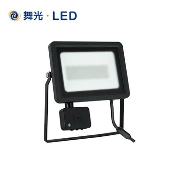 舞光 防水感應泛光燈 LED 20W/30W 投射燈 OD-SEFL20D 白光 黃光【高雄永興照明】【APP滿額下單10%點數(單一帳號最高1000點)】4/30止