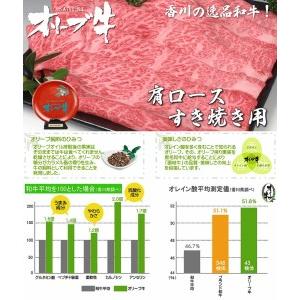 ふるさと納税 黒毛和牛オリーブ牛 肩ロースすき焼き用 約500ｇ×2_M18