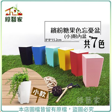 【綠藝家】繽紛糖果色忘憂盆(小)附內盆 共7色