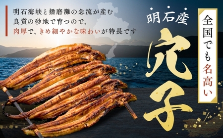 特選明石産炭焼き穴子（タレ2個付き）