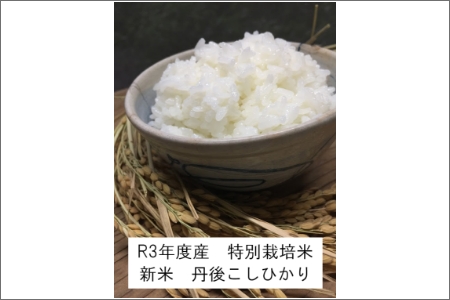 令和5年産 丹後こしひかり 白米９kg 白米9kg 食品 米 白米 こしひかり コシヒカリ 9キロ ブランド米 コシヒカリ 特別栽培 ふるさと納税 こしひかり 白米 特別栽培米 令和5年度 令和五年度