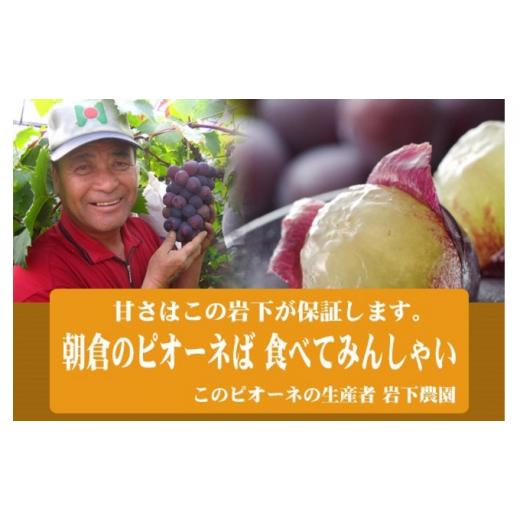 ふるさと納税 福岡県 朝倉市 ぶどう ピオーネ 2024年発送 4房 化粧箱入り ブドウ 葡萄 デザート フルーツ 果物 (有)ティース 配送不可：離島