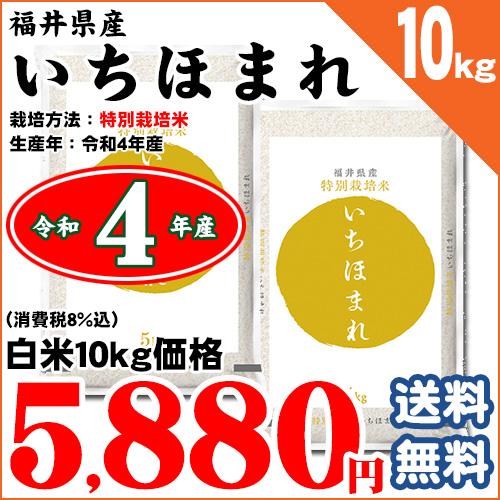 福井県 特別栽培米 いちほまれ 白米10kg (5kg×2袋) 令和5年産