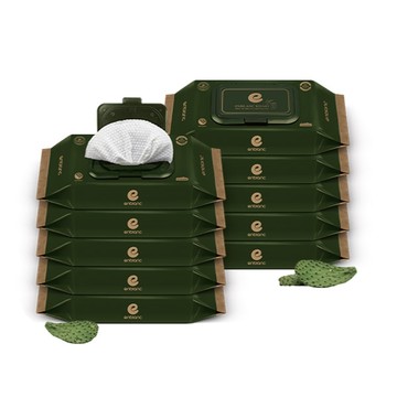 韓國 Enblanc 銀離子輕柔純水有蓋輕裝濕紙巾-仙人掌萃取物32抽10入|箱購