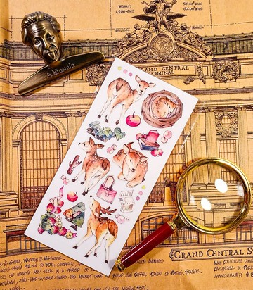 KR511梅花鹿C  Sika deer C