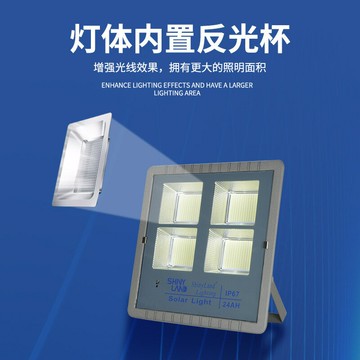 惠民新款太陽能燈戶外照明庭院燈太陽能投光燈新農村路燈廠家直銷 pm6211