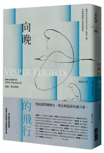向晚的飛行[二手書_良好]