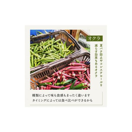 ふるさと納税 埼玉県 伊奈町 有機農家の採れたて季節野菜のセット