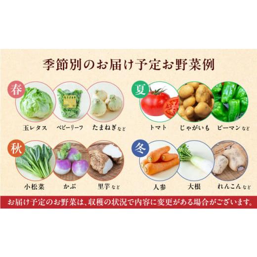 ふるさと納税 熊本県 山都町 新米 有機米 2kg 旬の野菜 5種 野菜セット 有機JAS認定 熊本県産 オーガニック野菜 山都町産 産地直送 熊本直送【株式会社 肥後や…