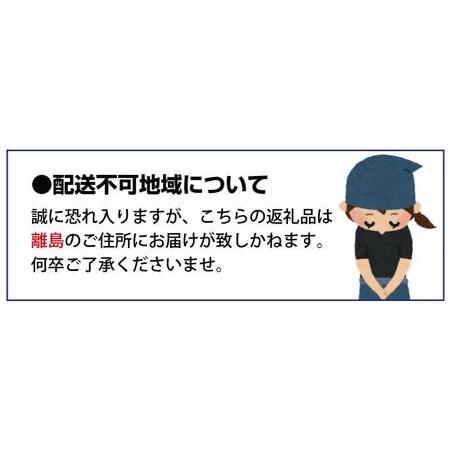 ふるさと納税 赤秀品　紀州和歌山ハウスみかん2.5kg サイズお任せ ※2024年6月下旬頃〜2024年7月中旬頃に順次発送予定(お届け日指定不.. 和歌山県広川町