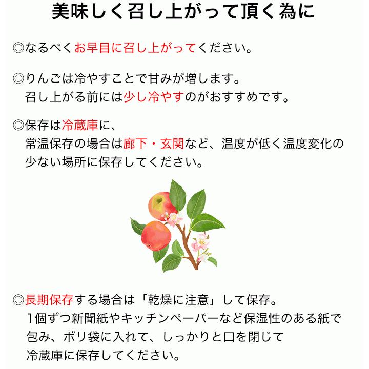 りんご 葉とらずりんご 家庭用 サイズ混合 サンふじ 無袋ふじ 減農薬 5Kg 樹上完熟 長野県産 葉取らず 信州りんご リンゴ 林檎