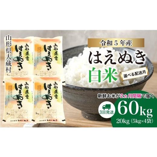 ふるさと納税 山形県 大蔵村 令和5年産 大蔵村 はえぬき  定期便 60kg （20kg×2か月間隔で3回お届け）