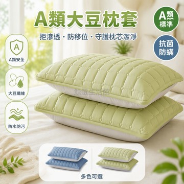 台灣出貨✨ 大豆纖維夾棉枕套 方格綾縫防移位 抗菌防螨枕頭保護套 A類母婴級面料 隔絕口水頭油汗液 單人枕芯專用