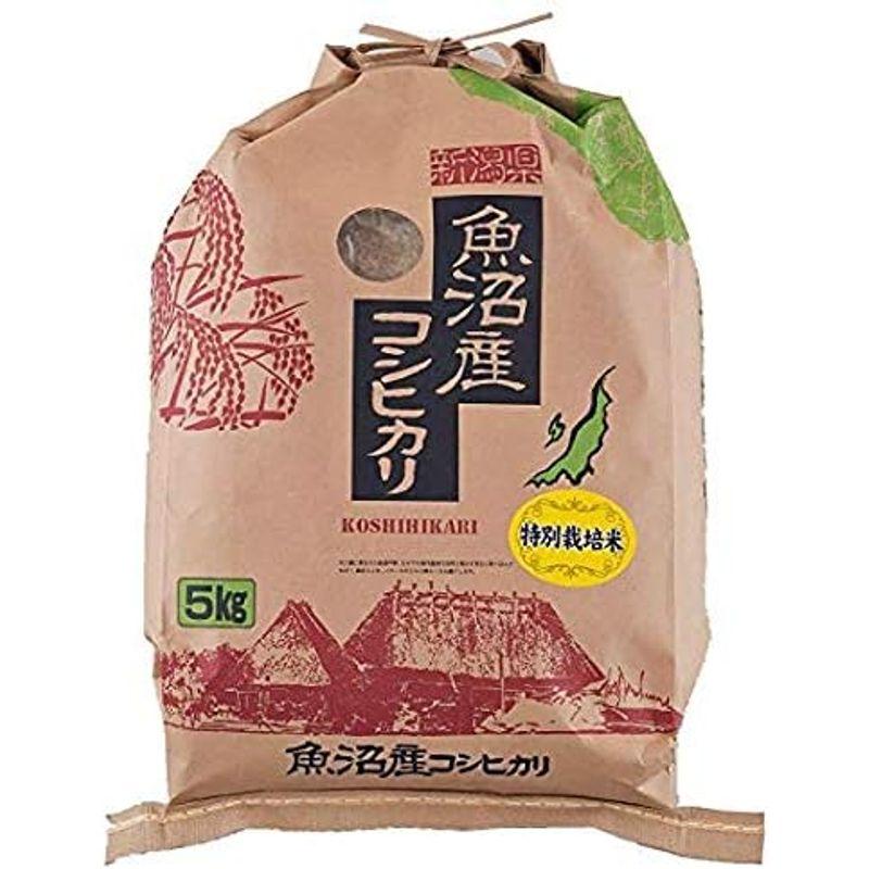 精白米 5kg 特別栽培米 魚沼産コシヒカリ 令和4年産 津南 ゆきやまと農場