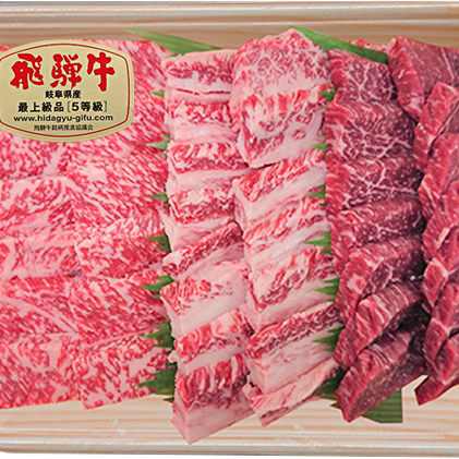 飛騨牛焼肉セット600g（5等級・冷凍）