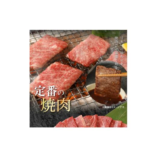 ふるさと納税 宮崎県 延岡市 宮崎牛 ウデ モモ バラ 焼肉用 各400g 計1.2kg　N0147-ZB527