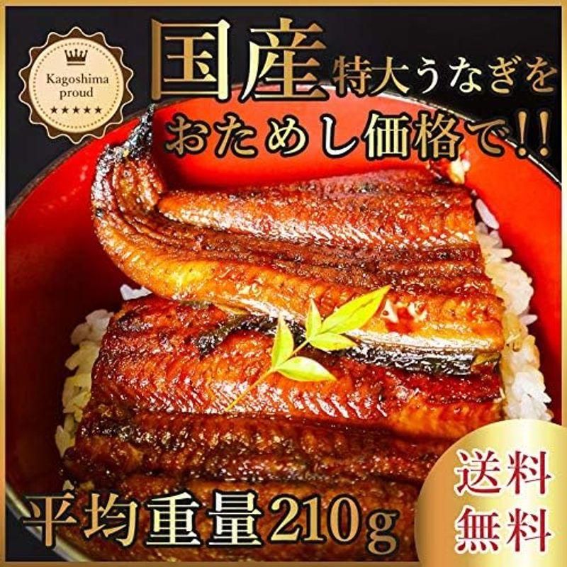 鹿児島うなぎお試しセット 特大蒲焼うなぎ１尾＋きざみうなぎ１パック 美味しい食べ方ブック付き たれ付き 国産 お取り寄せ 蒲焼き 丑の日 高