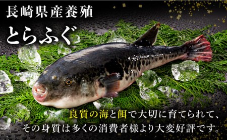 長崎県産 とらふぐ 刺身 と 鍋 セット 2～3人前   ふぐ ふぐ刺し 南島原市   大和庵[SCJ007]