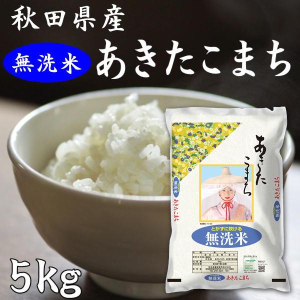 秋田県産 無洗米 あきたこまち 5kg 新米 令和5年産 2023年 甘み 粘り 噛みごたえのバランスがとれたお米です ごはん ご飯