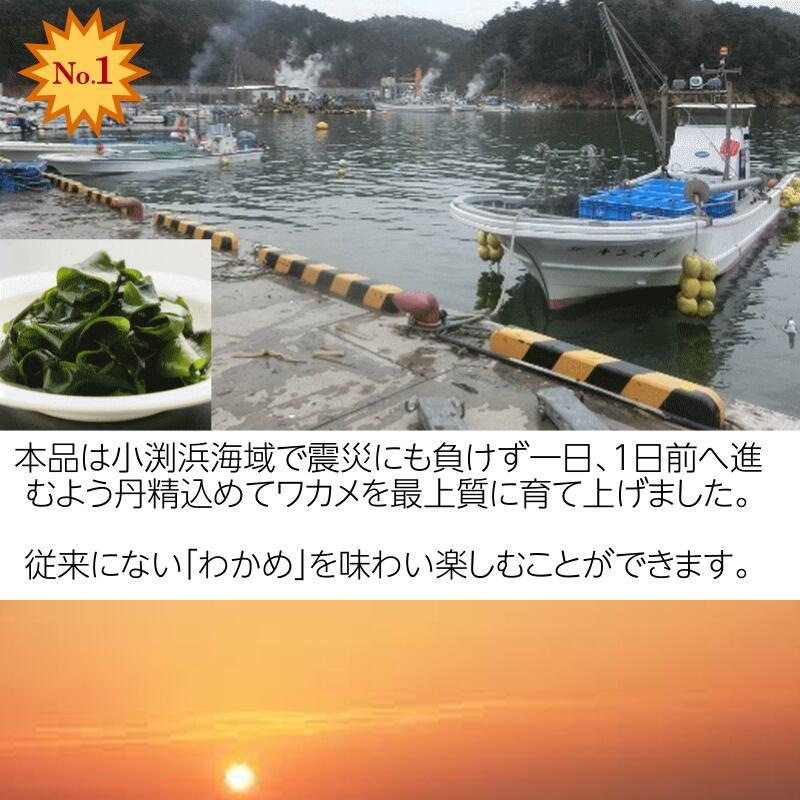 訳あり　宮城・三陸小渕浜産　特上　湯通し塩蔵わかめ　２００g  袋×５袋　産地直送　送料無料