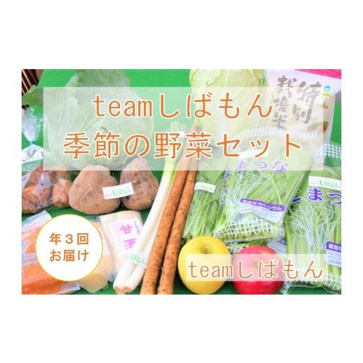 ふるさと納税 新潟県 新発田市 C17  ｔｅａｍしばもん 季節の野菜セット