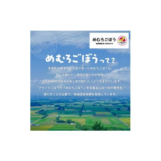 ふるさと納税 北海道 芽室町 北海道十勝芽室町 めむろごぼうＬサイズ5kg me010-015c