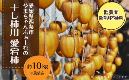 干し柿用渋柿 「愛媛県産あたご柿」 約10㎏ 西条市 やまちゃんふぁーむ 低農薬 除草剤不使用 干し柿 柿