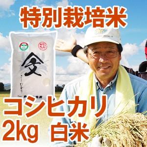 令和5年産新米 新潟県産 「特別栽培米コシヒカリ」 白米2kg