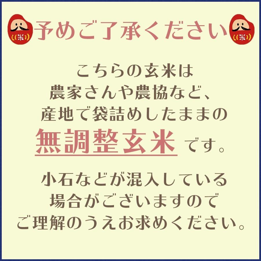 玄米 令和5年産 三重県産コシヒカリ 2等　30kg