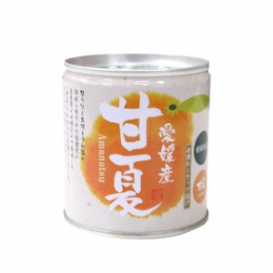 愛媛産　甘夏（身割・シロップ漬け）295g（固形量170g）