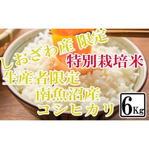 ふるさと納税 新潟県 南魚沼市 特別栽培 しおざわ産限定 生産者限定 南魚沼産コシヒカリ